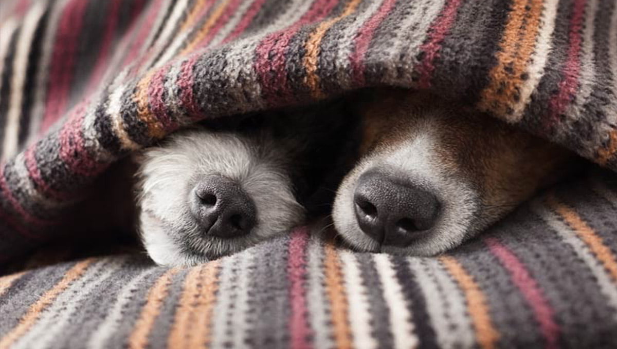 Email marketing: GDPR should make it even more effective